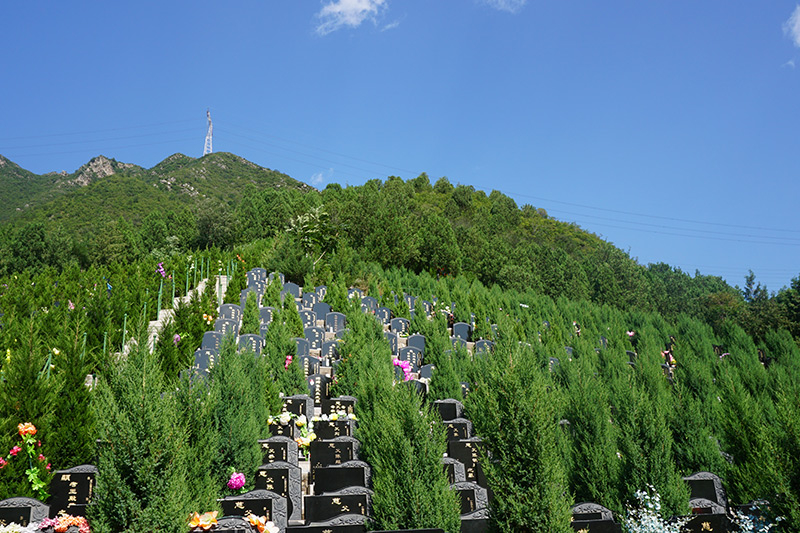 金山陵呢？墓地贵吗？